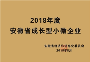 2018年度安徽省成长型小微企业