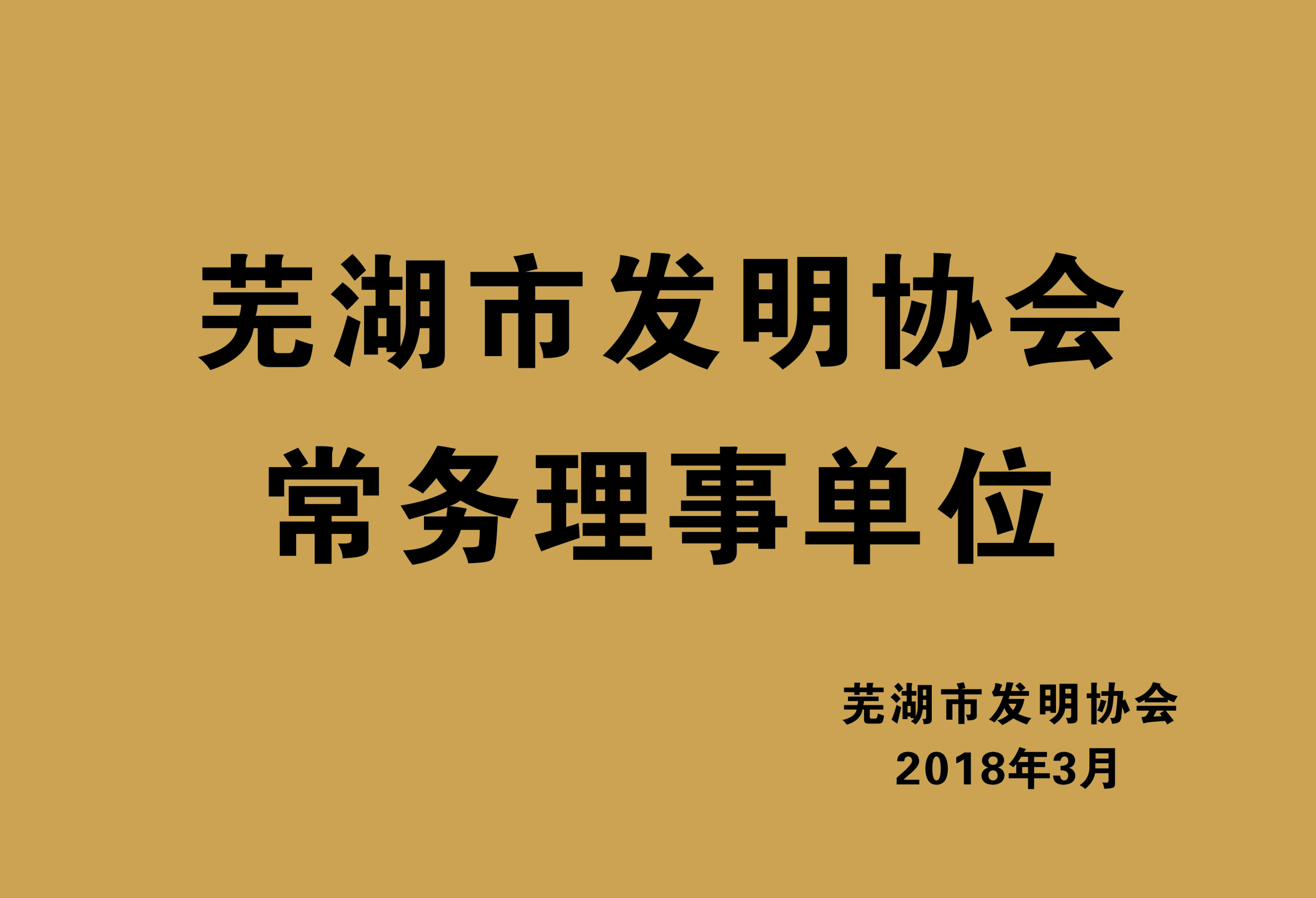 芜湖市发明协会常务理事单位