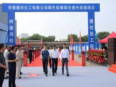 安徽德邦化工有限公司背压式汽轮发电机组节能技改增效合同能源管理项目